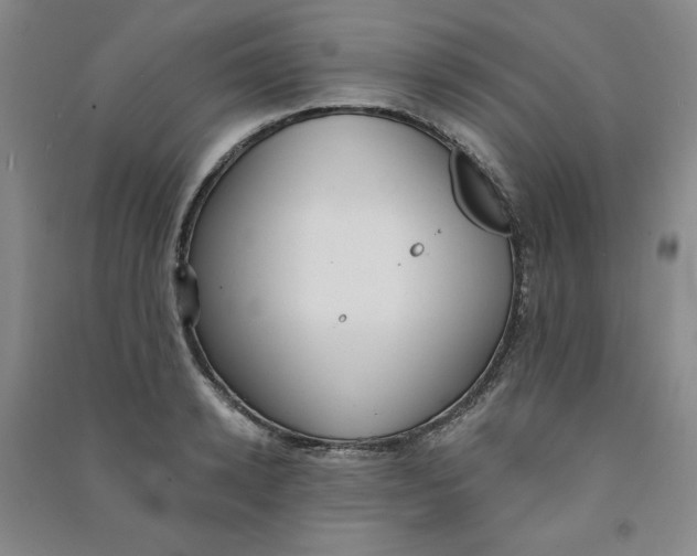 X0000090910942200708201738