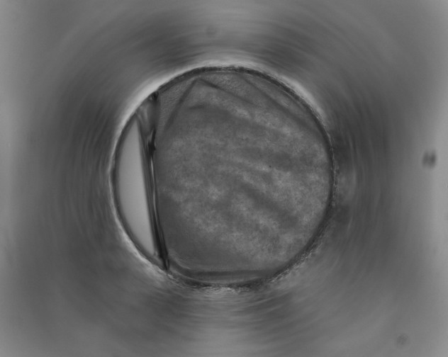 X0000090910943200708201738