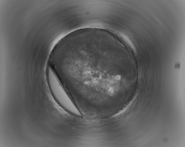 X0000090910944200708201738