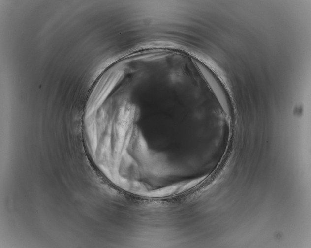 X0000090910945200708201738