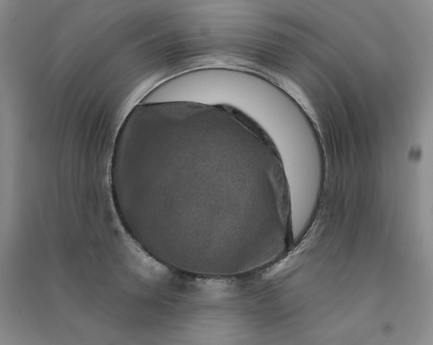 X0000090910946200708201738