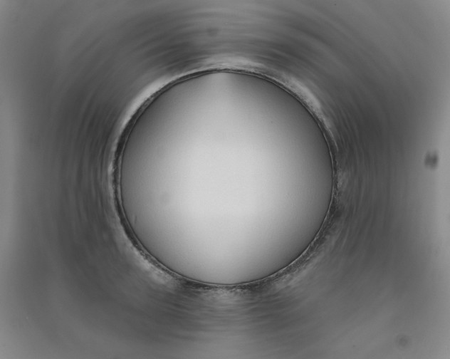 X0000090910947200708201738