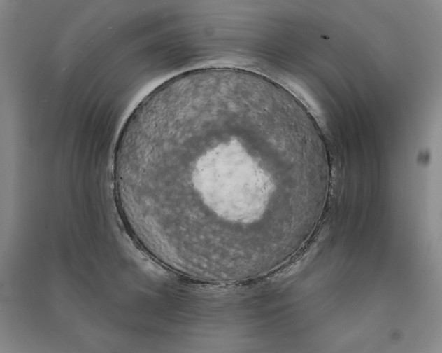 X0000090910948200708201738