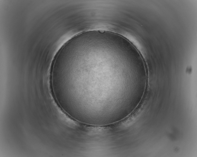 X0000090910949200708201738