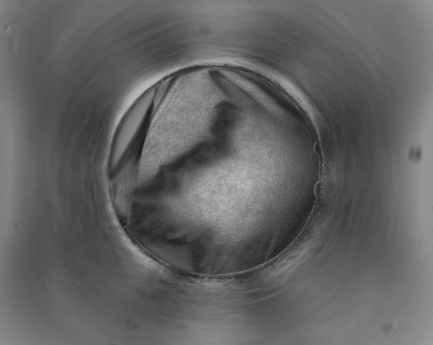 X0000090910951200708201738