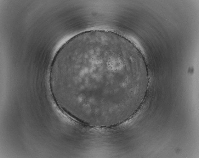 X0000090910952200708201738