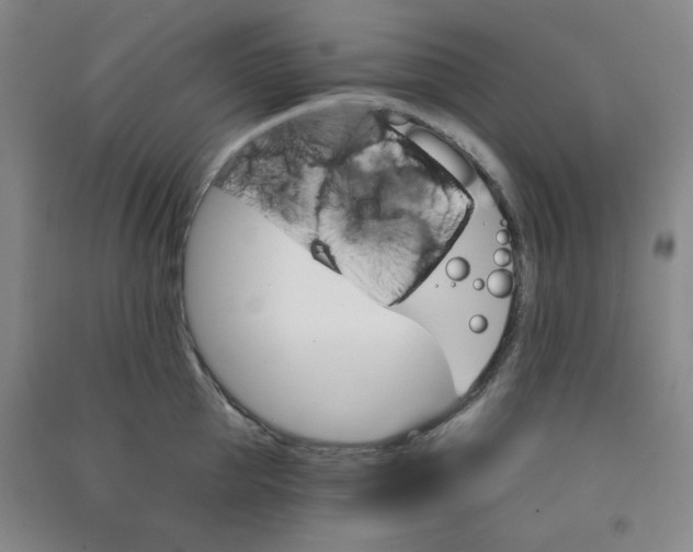 X0000090910953200708201738