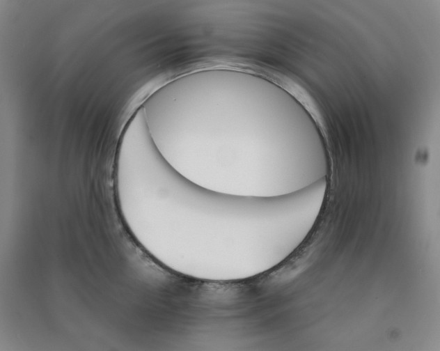 X0000090910954200708201738