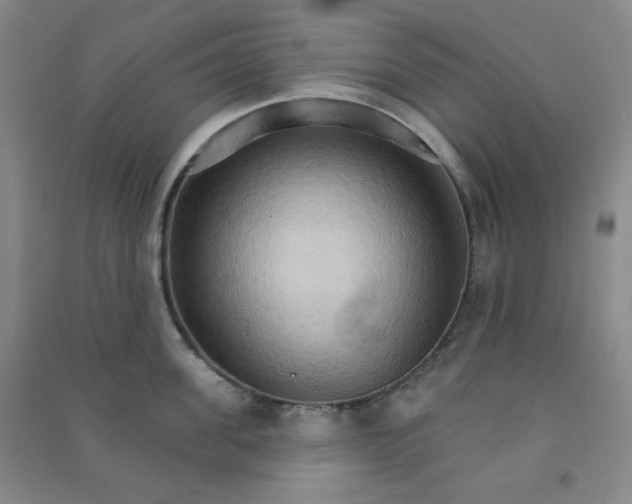 X0000090910955200708201738