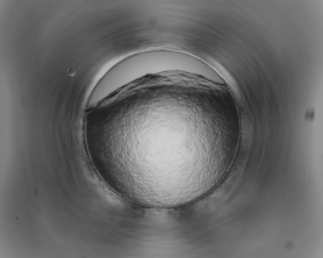 X0000090910956200708201738