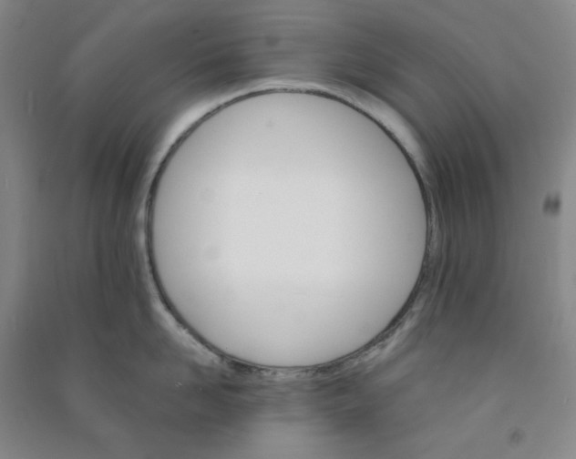 X0000090910958200708201738