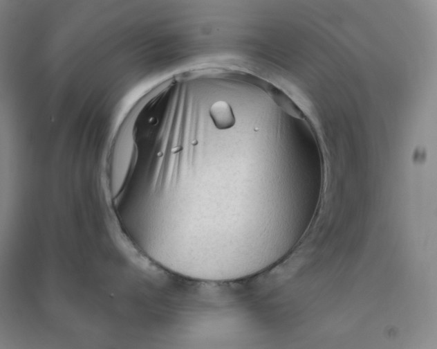 X0000090910960200708201738