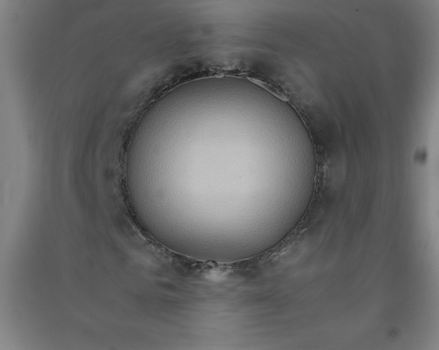 X0000090910961200708201737