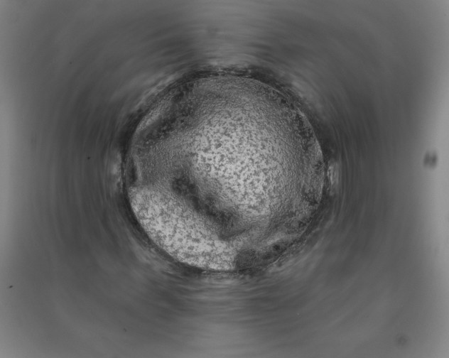 X0000090910963200708201737