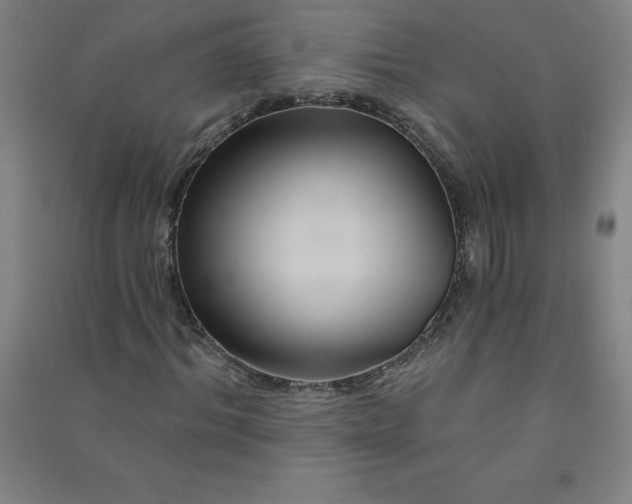 X0000090910964200708201737