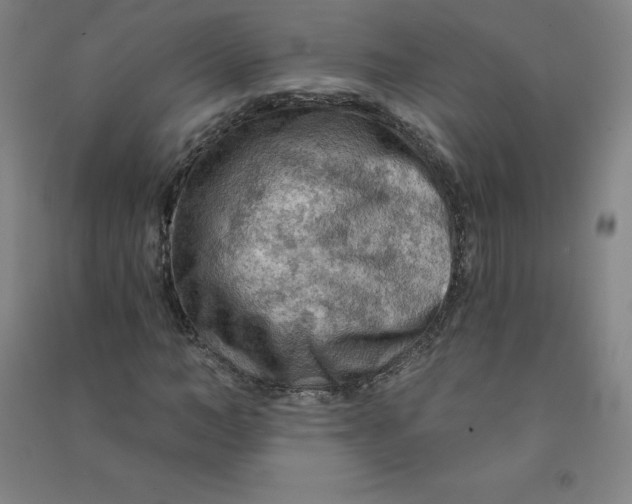 X0000090910966200708201737