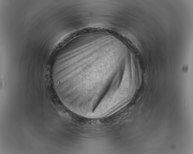 X0000090910968200708201737