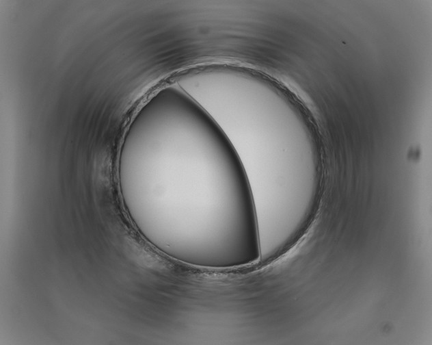 X0000090910969200708201737