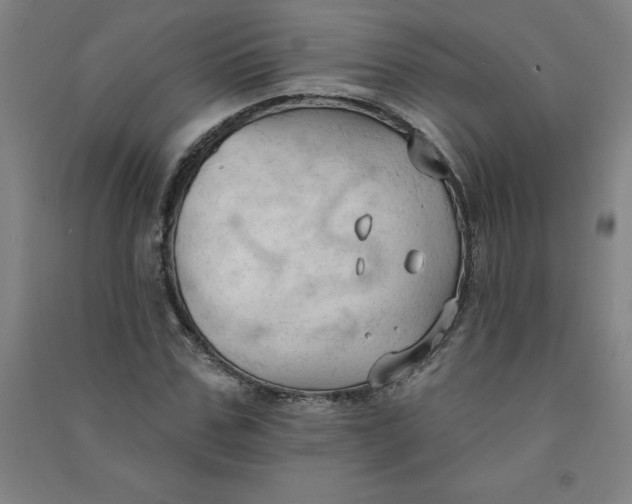 X0000090910971200708201737