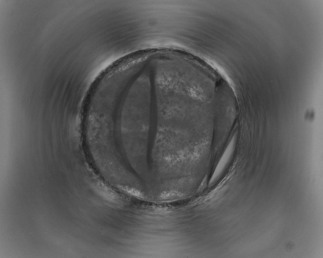 X0000090910975200708201737