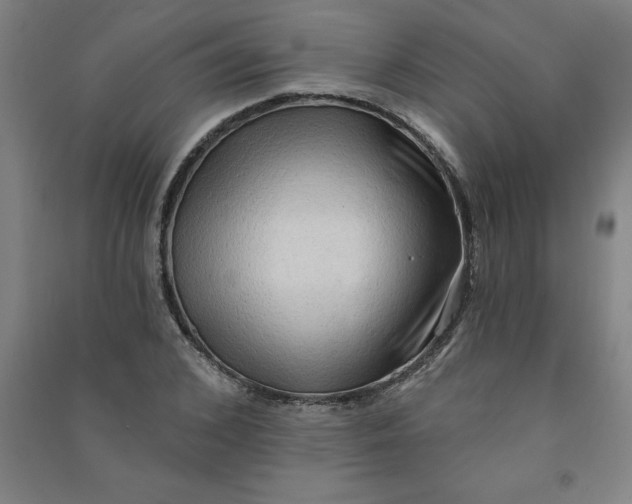 X0000090910976200708201737