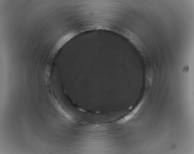 X0000090910977200708201737