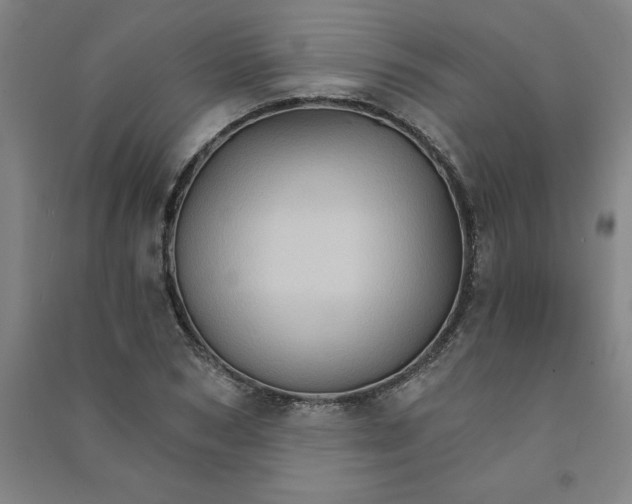 X0000090910978200708201737