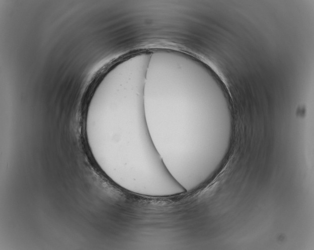 X0000090910979200708201737