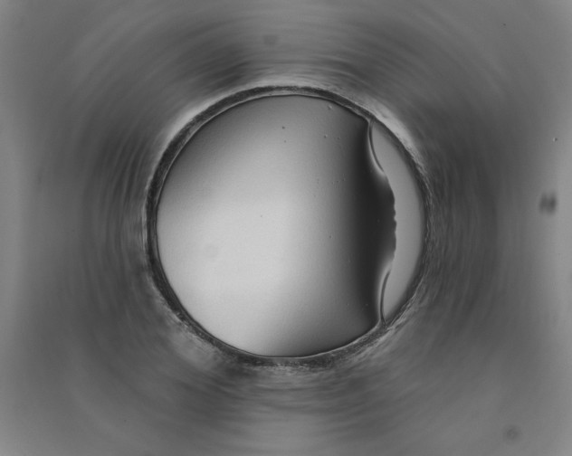 X0000090910980200708201737