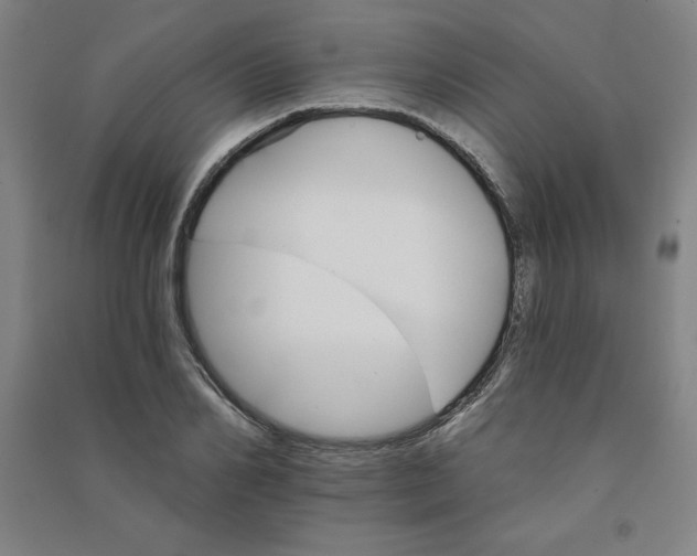 X0000090910982200708201737