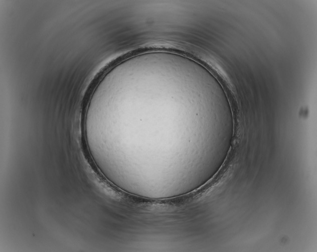 X0000090910984200708201737