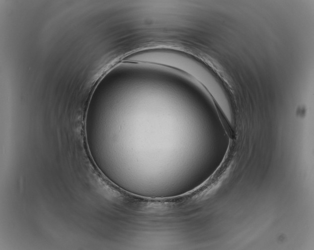 X0000090910985200708201737