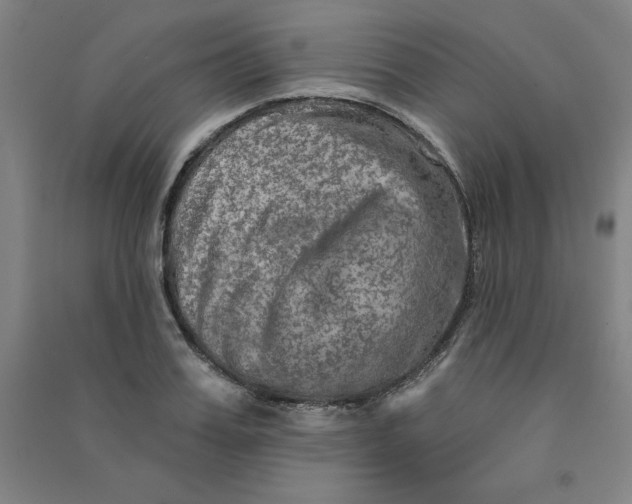 X0000090910987200708201737