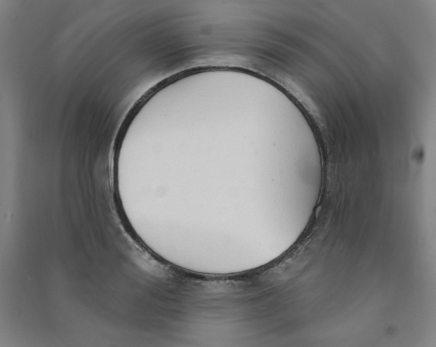 X0000090910988200708201737