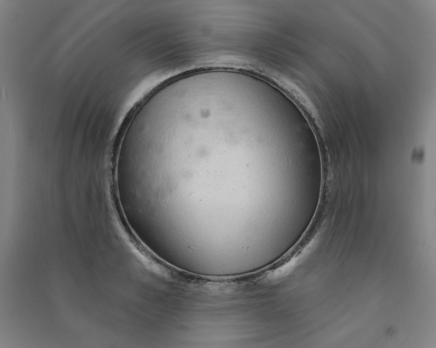 X0000090910989200708201737