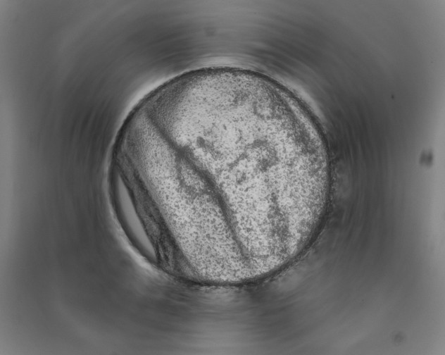 X0000090910991200708201737