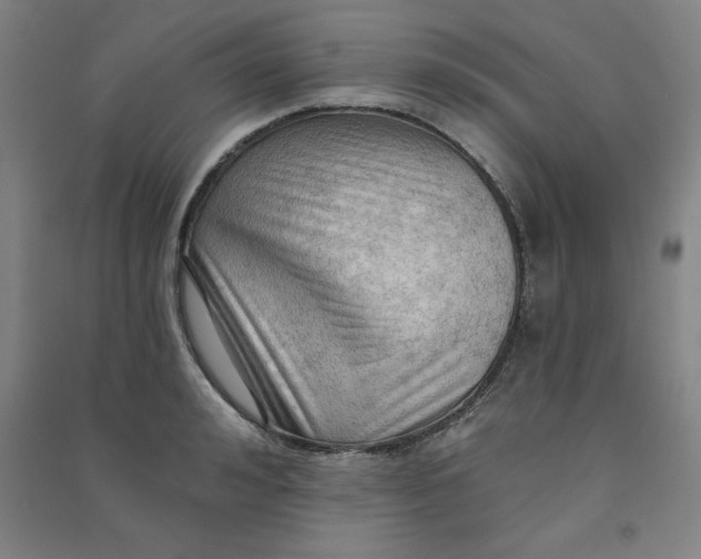 X0000090910992200708201737