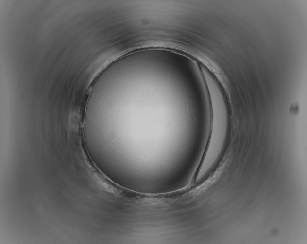 X0000090910993200708201737