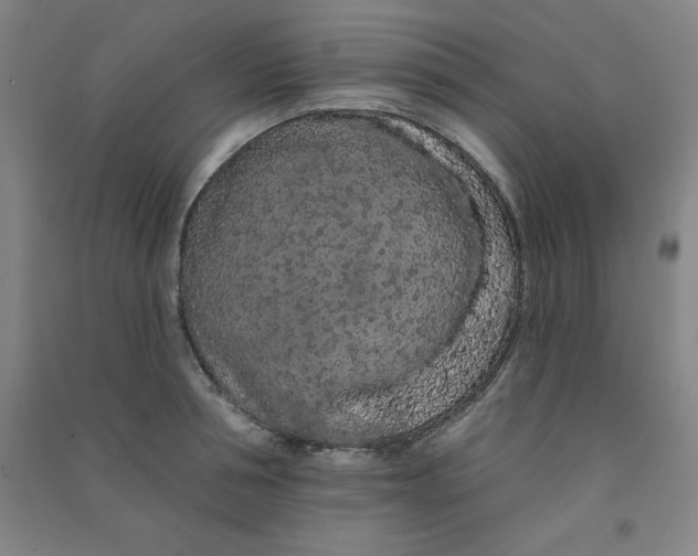 X0000090910994200708201737