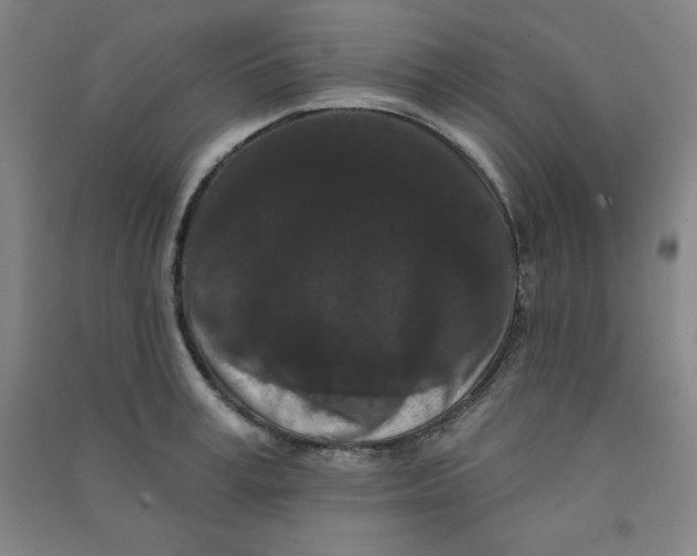 X0000090910995200708201737