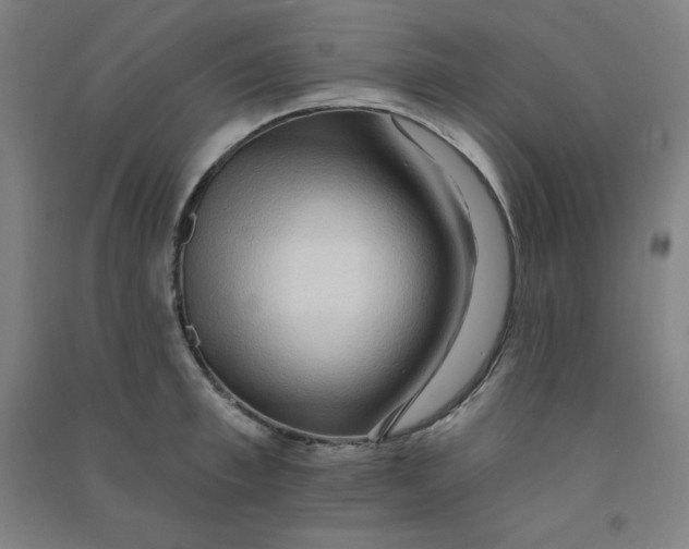 X0000090910997200708201737