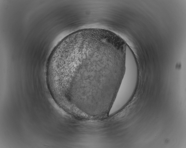 X0000090910998200708201737