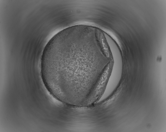 X0000090910999200708201737