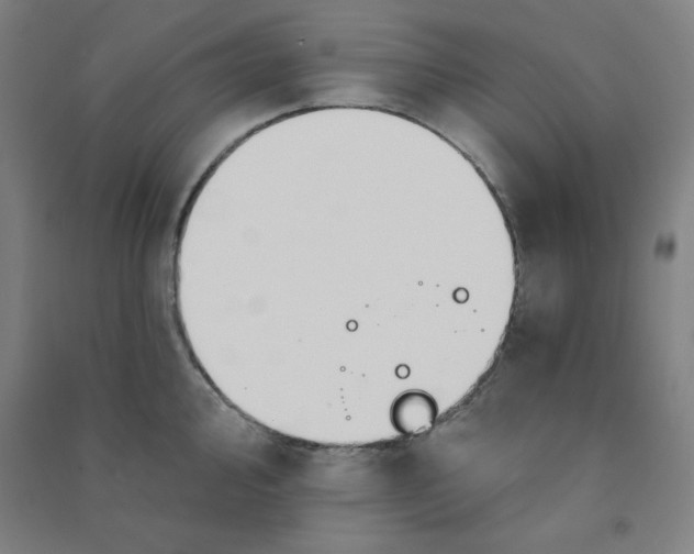 X0000090911000200708201737