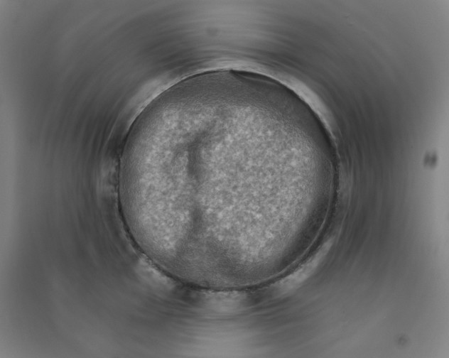 X0000090911001200708201737