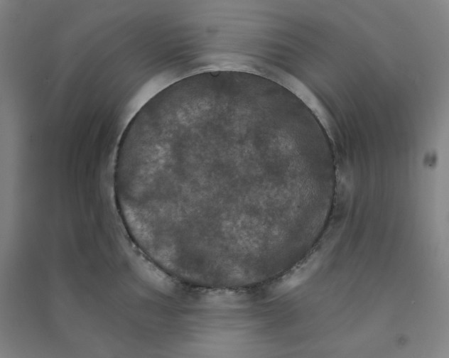 X0000090911002200708201737