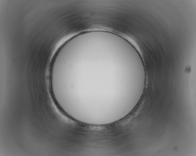 X0000090911003200708201737