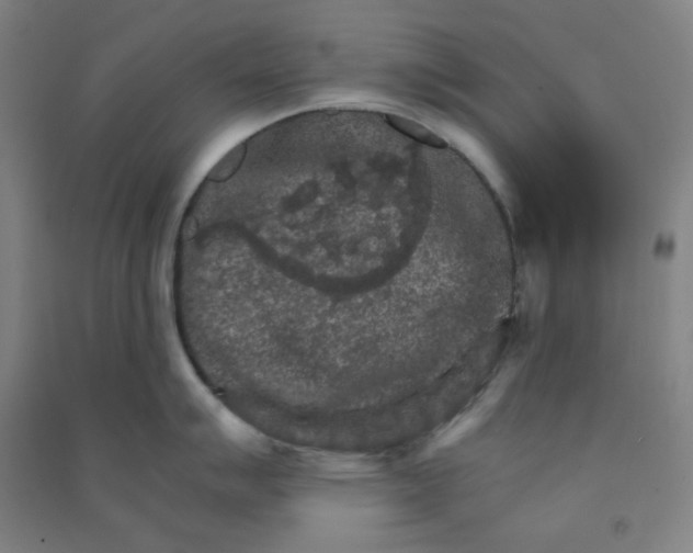 X0000090911007200708201737