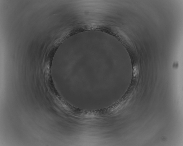 X0000090911011200708201736