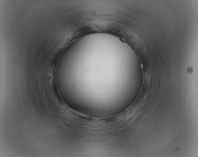 X0000090911012200708201736